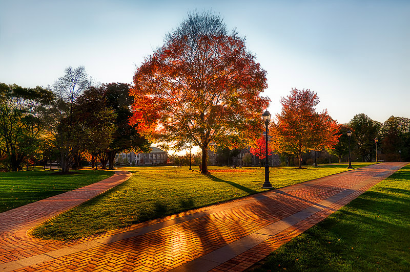 Dawn On The Quad