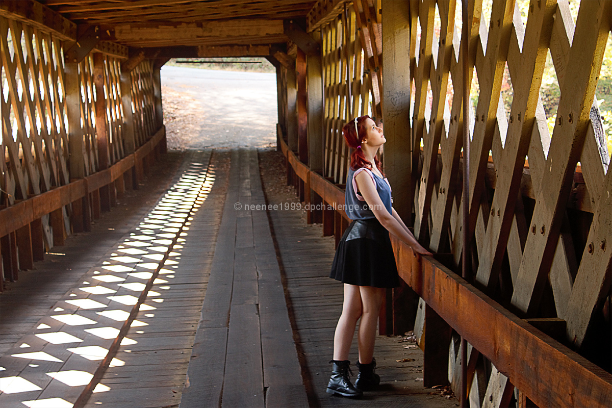 Bridge of Blount County 