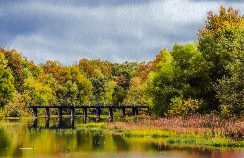 Autumn Trail