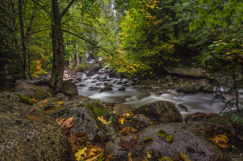 running creek