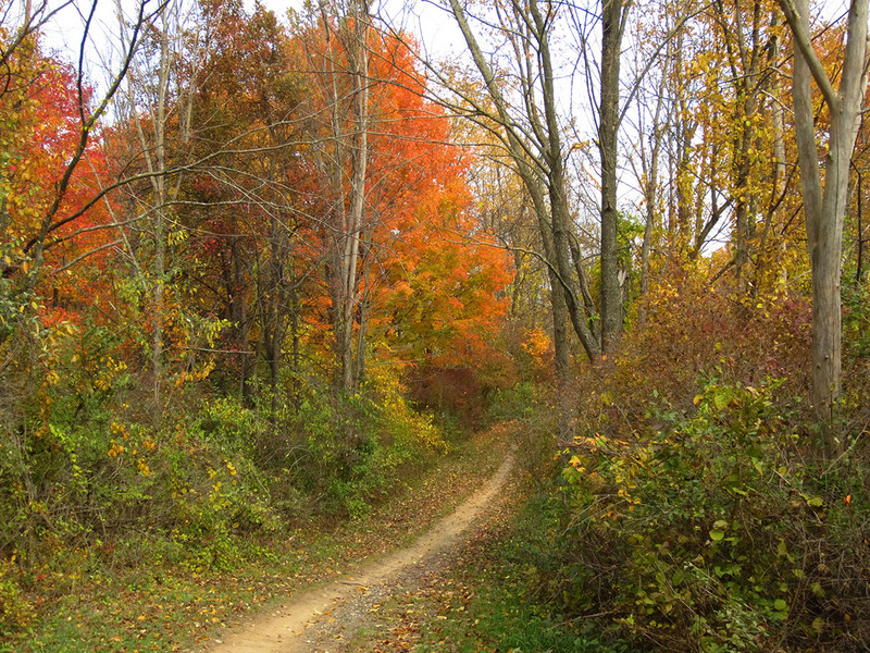 My favorite mountain bike trail