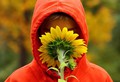Checking the Fragrance of an Autumn Sunflower