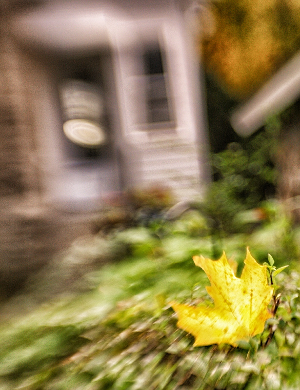 When Autumn comes alive