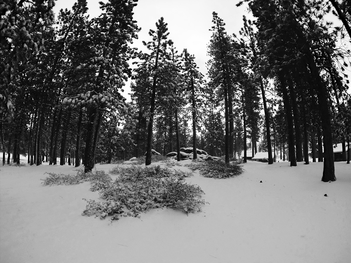 A Winter In Eden
