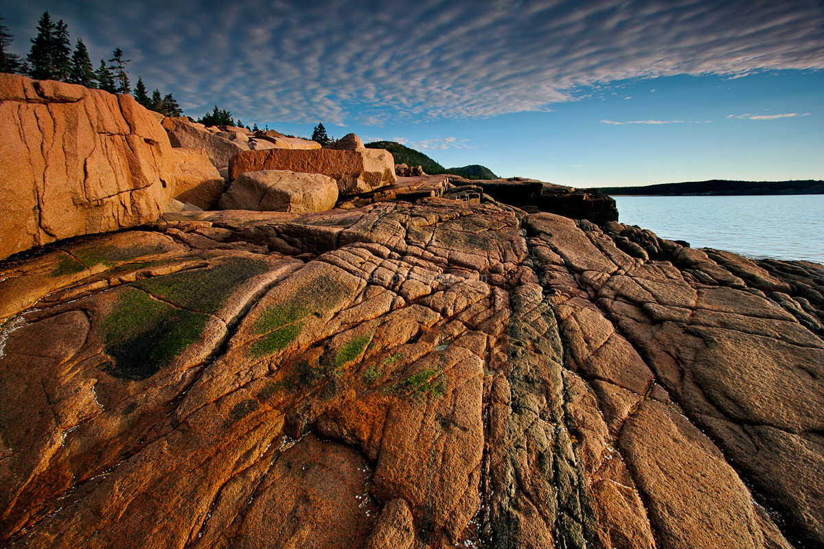 Acadia Rocks!