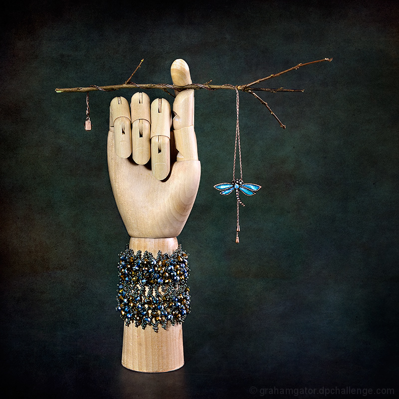 Fall Nature Collection