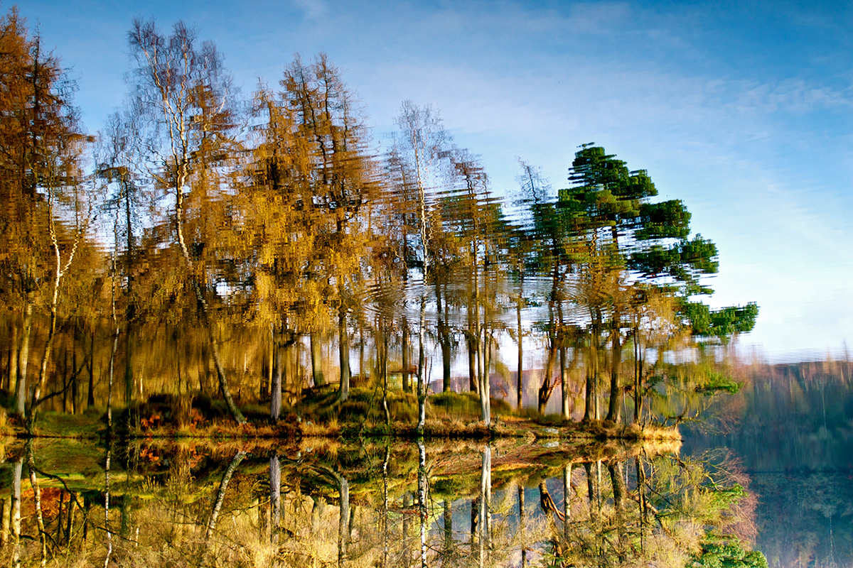 Autumn Ripples