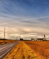 Church Of The Dirt Road 
