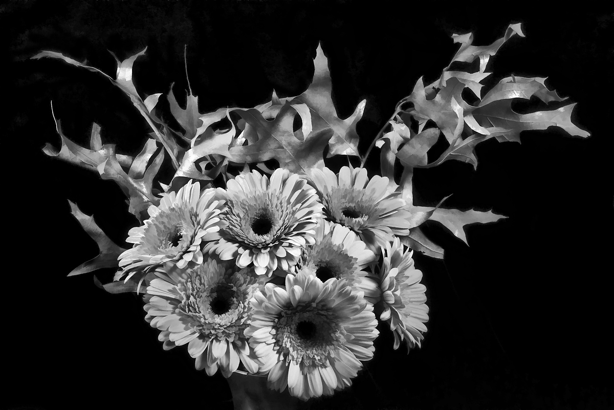 Gerbera and Oak Leaves