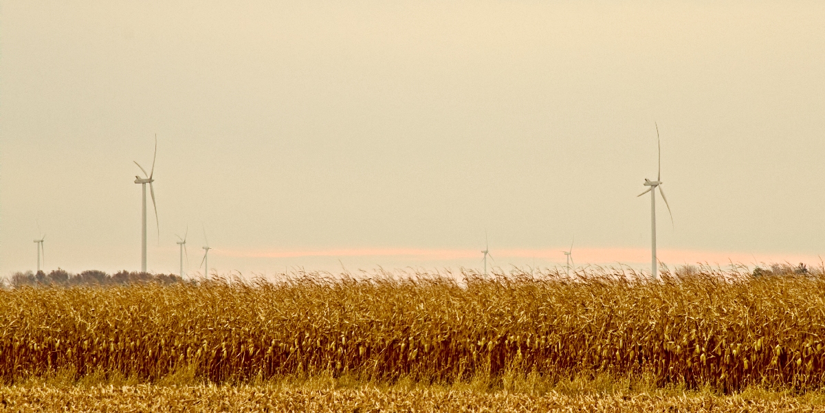 Crop of Wind Turbines