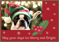 Merry and Bright