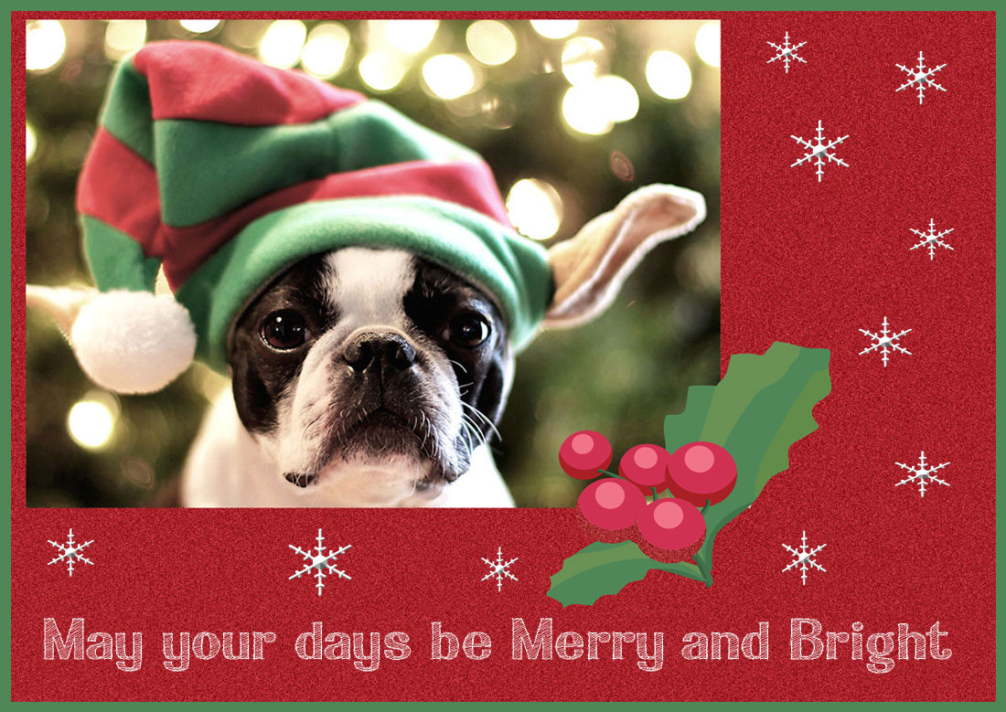 Merry and Bright