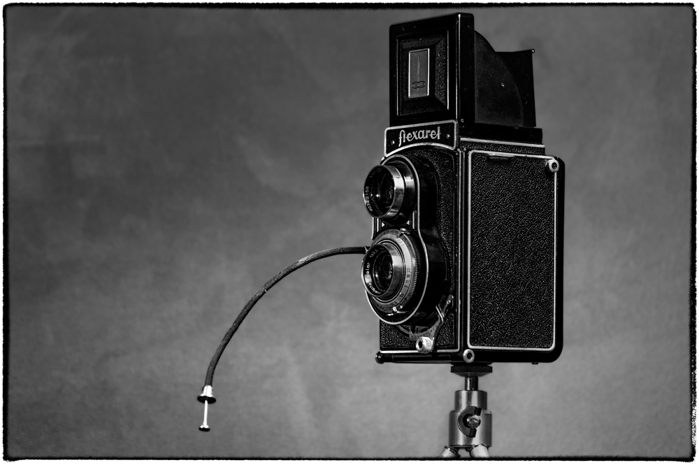 Portrait of a camera