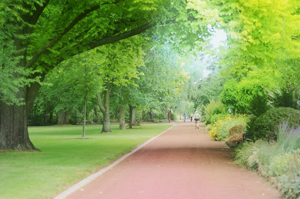 A Walk Through the Gardens