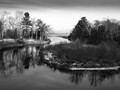 The River Mouth