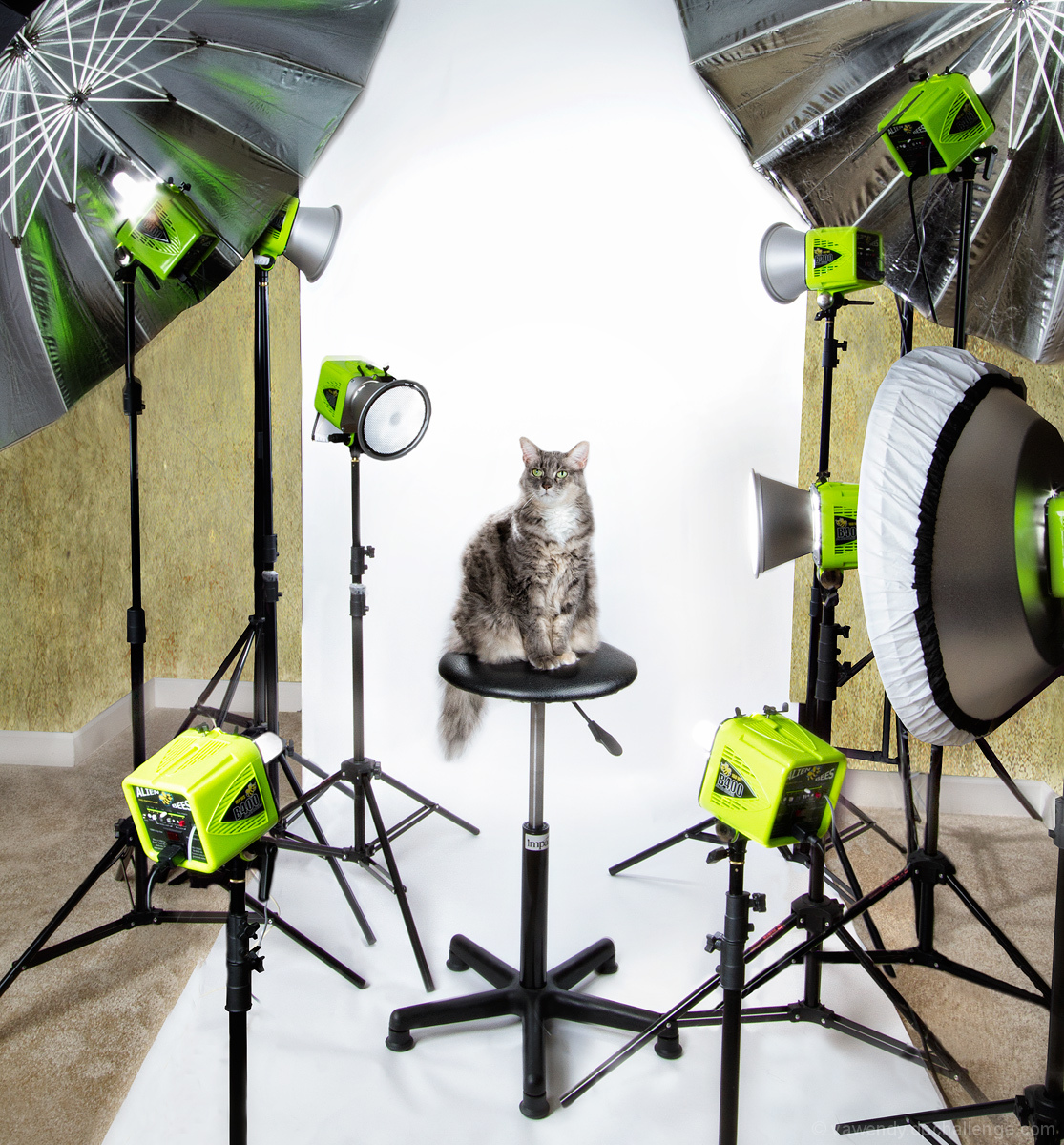 Santa, Could I please have a couple of studio lights?