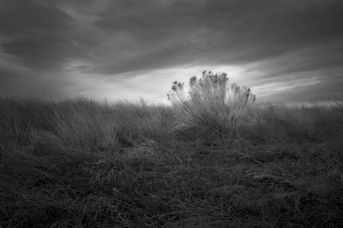 Home on the prairie