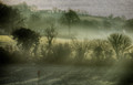 Mist