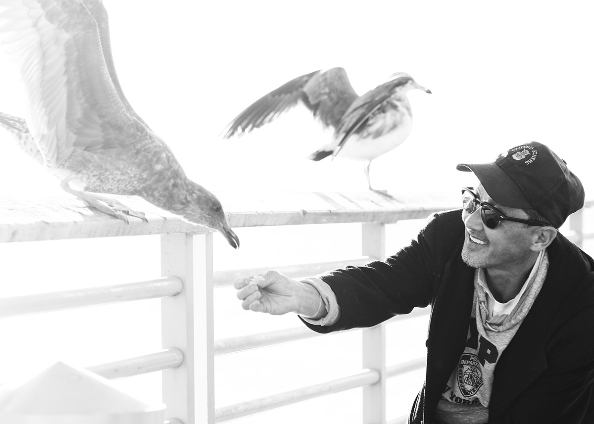 Gull Whisperer