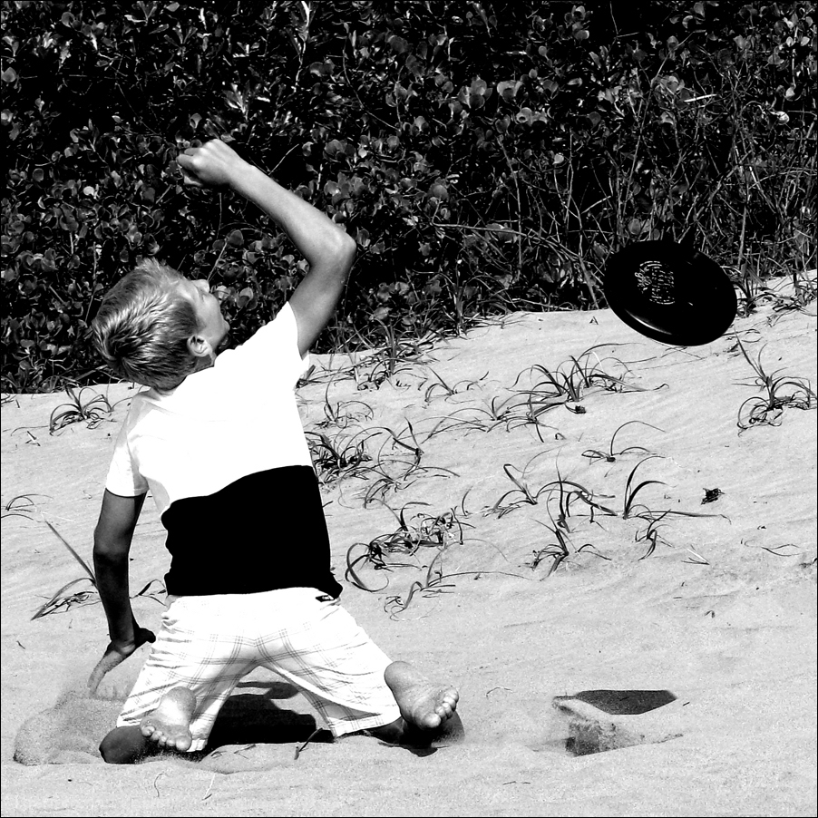 and the frisbee was never seen again...