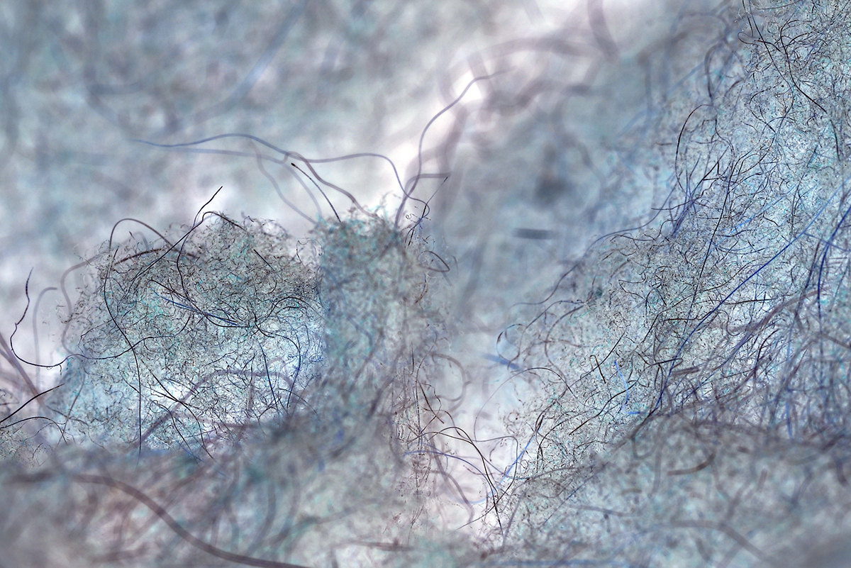 Lintograph