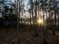 A Walk In The Woods