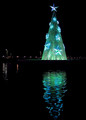  Bayside Christmas Tree