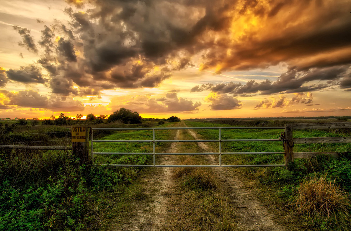 Forbidden Sunset