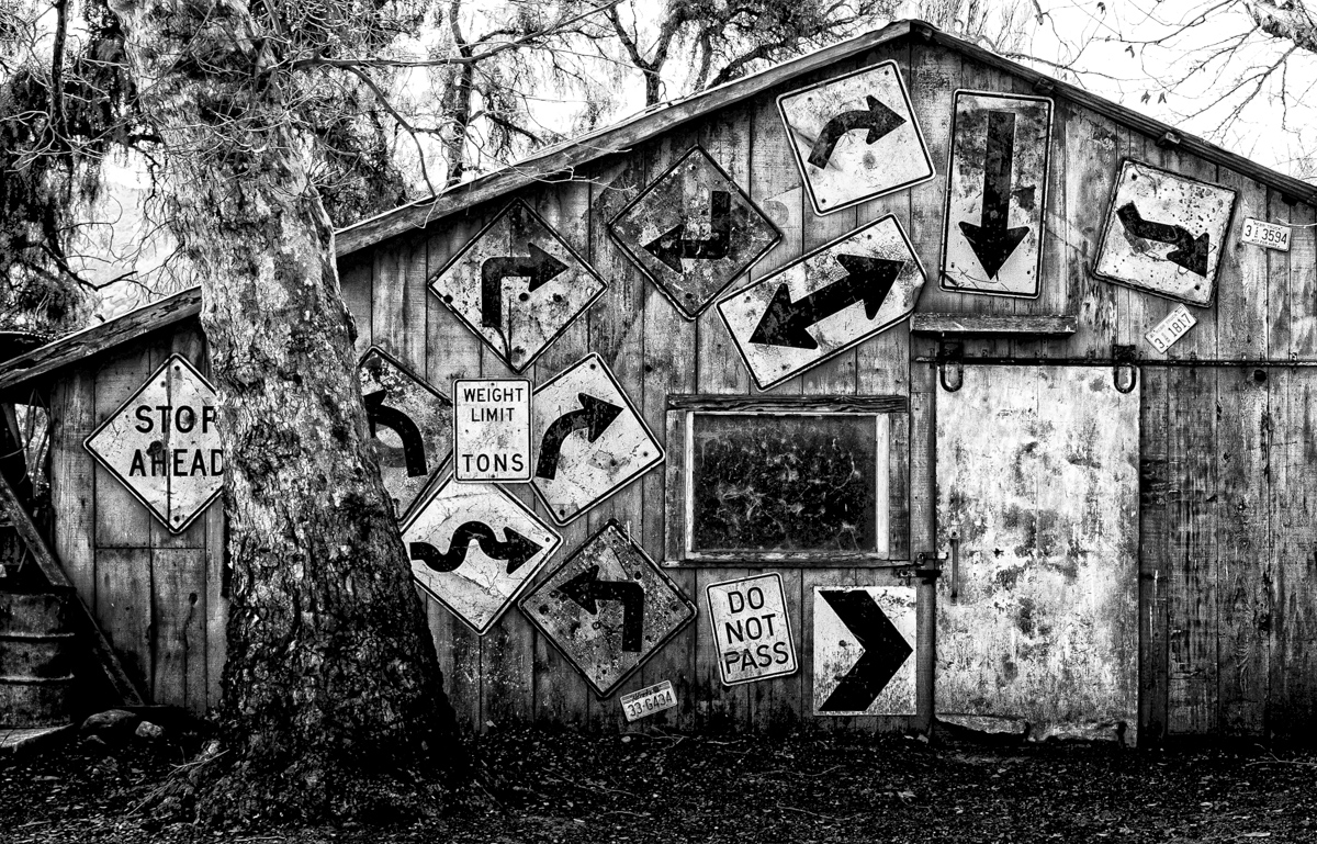 Shut Up and Drive