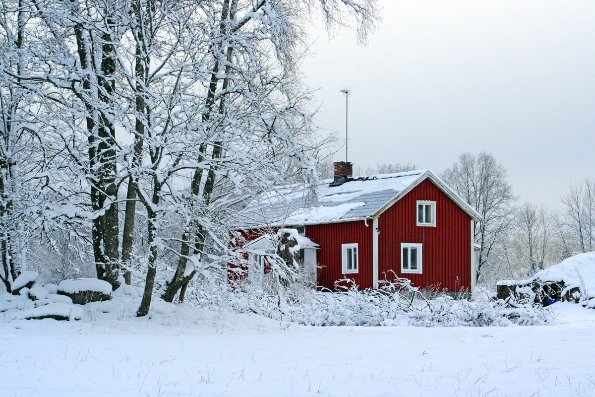 Swedish Winter