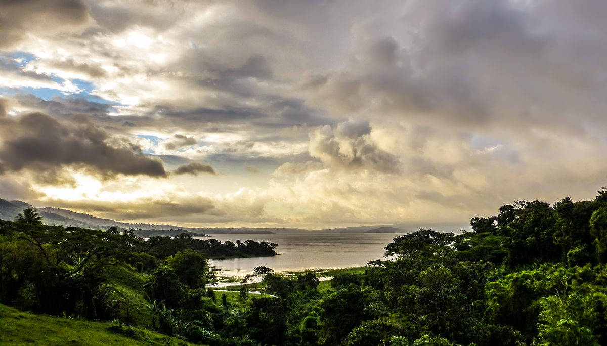 The Sky above the Jungle