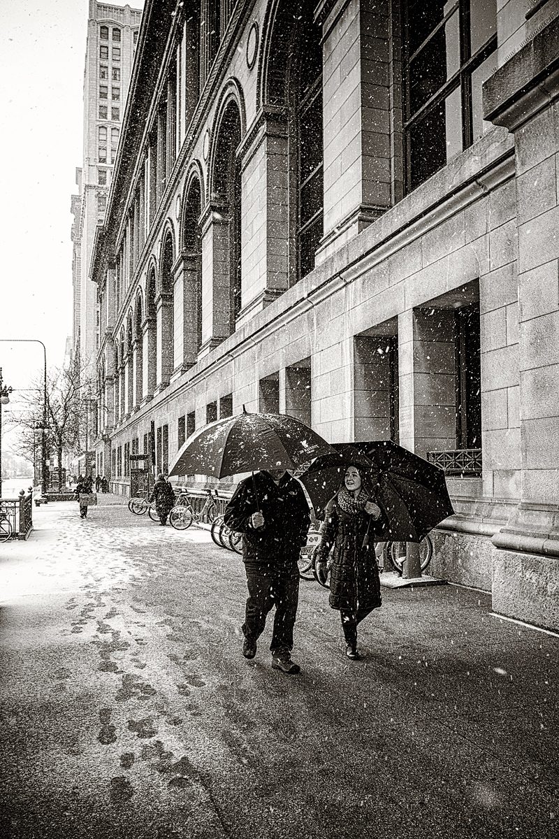 Snowy stroll