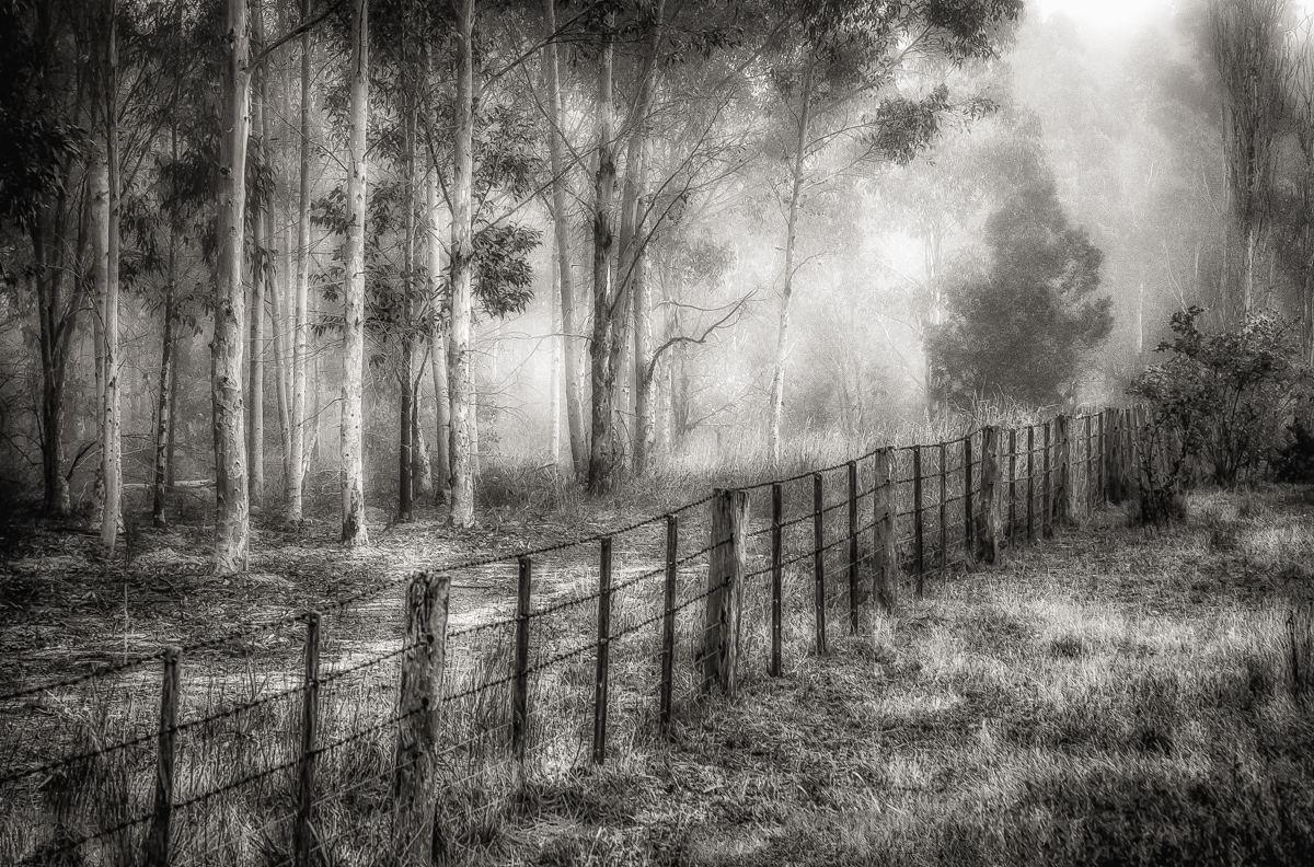Old Farm Fence