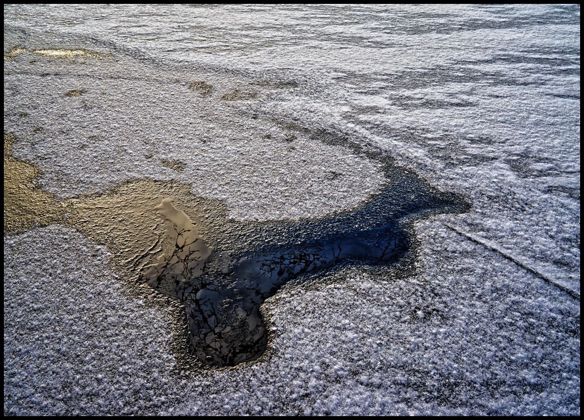 Pond Ice, Afternoon Light