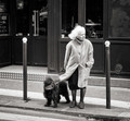 Windy day in Paris