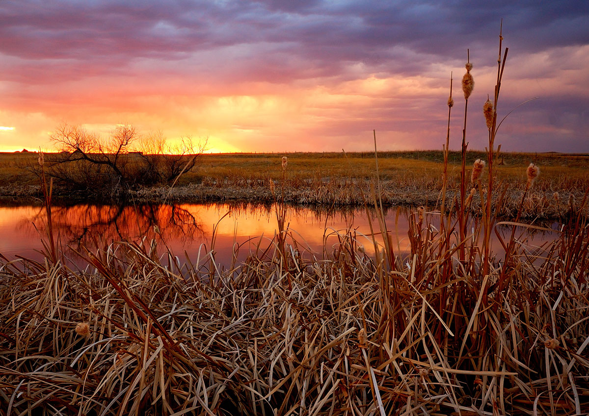 Prairie Pothole at Sunset