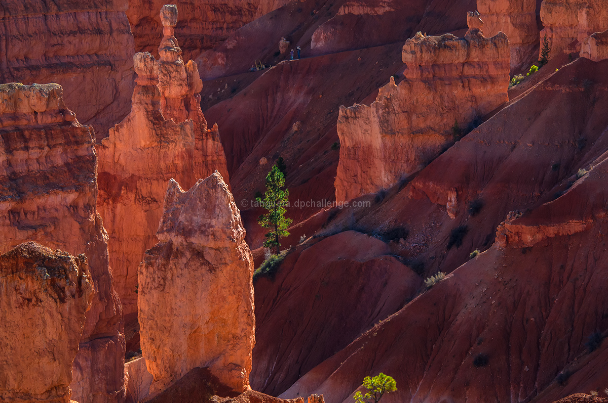 two hikers