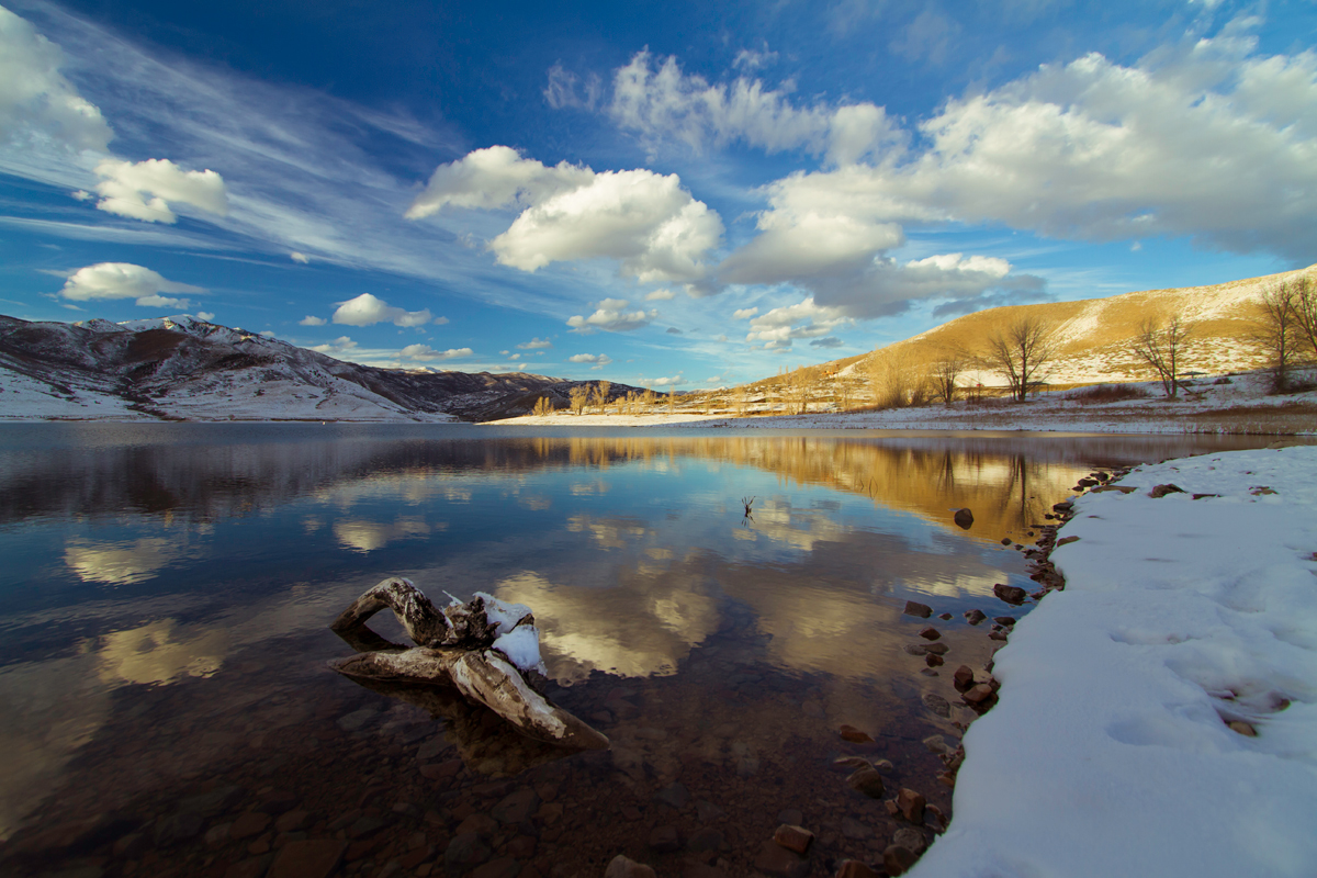 Winter's Reflection