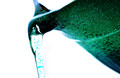 Oil and Water Don't Mix