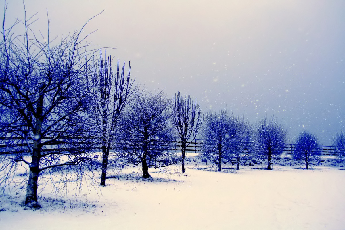 Psychics can see the color of time it's blue.  