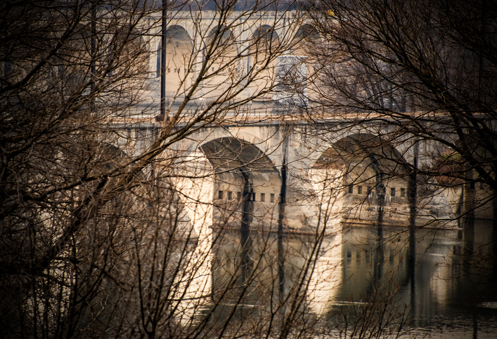 Bridges & Branches