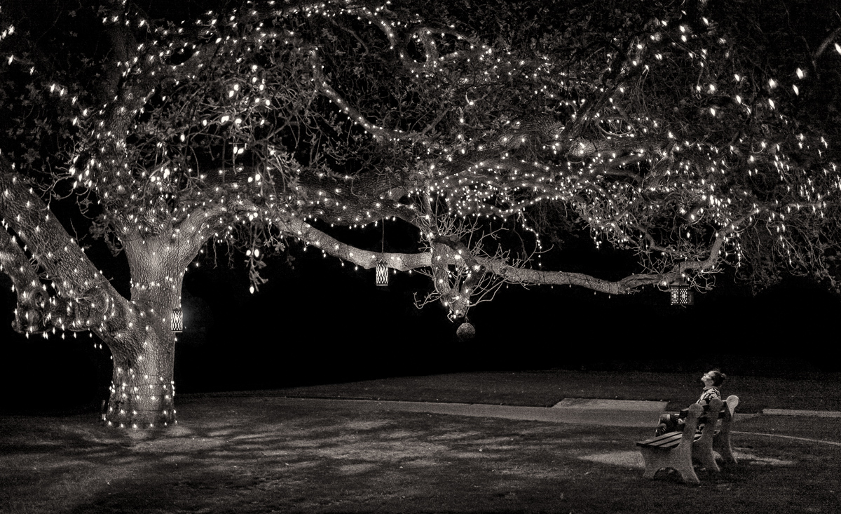 Magical Night