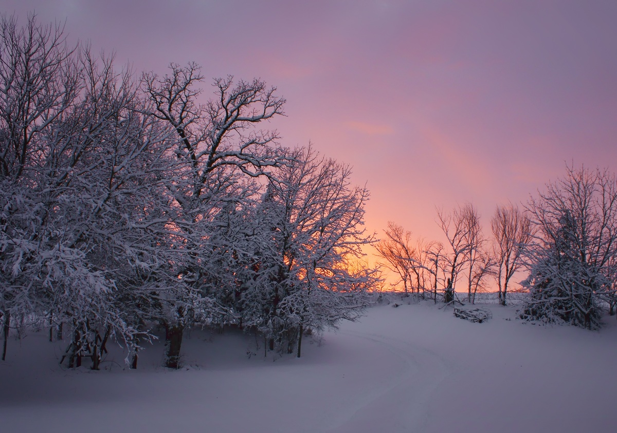 Farm in Winter