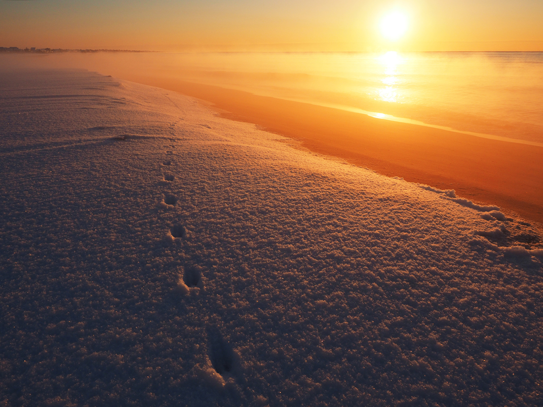 Not the first one on the beach the coldest morning of the year