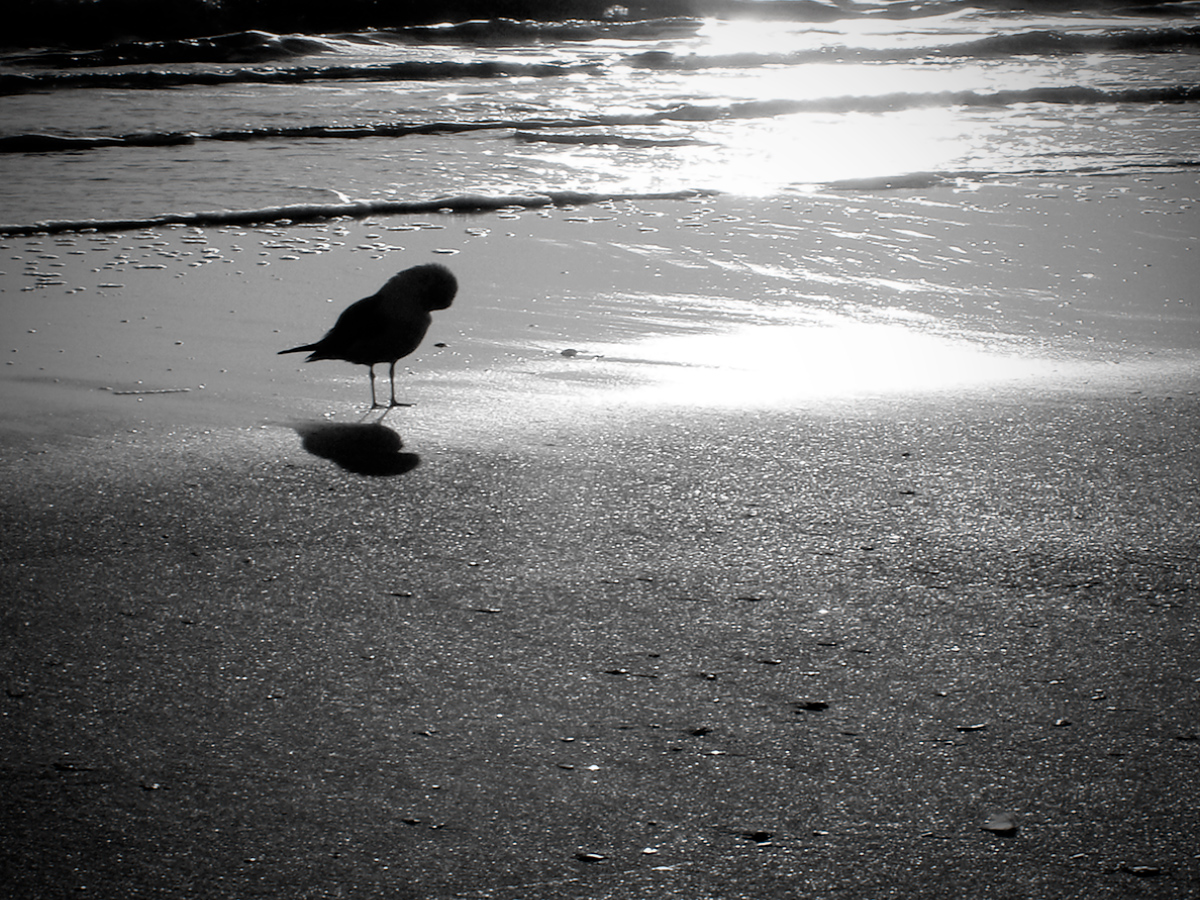 Cold Beach Morning