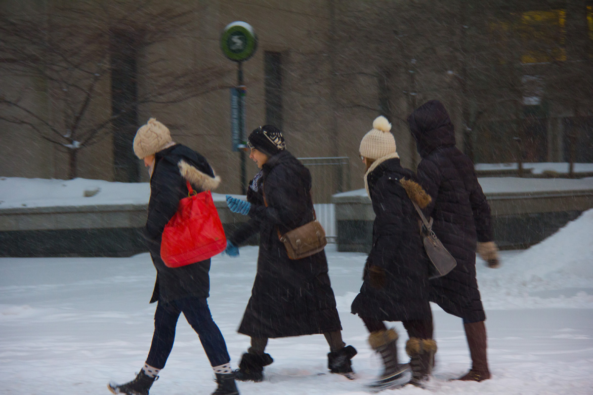 Braving the Storm