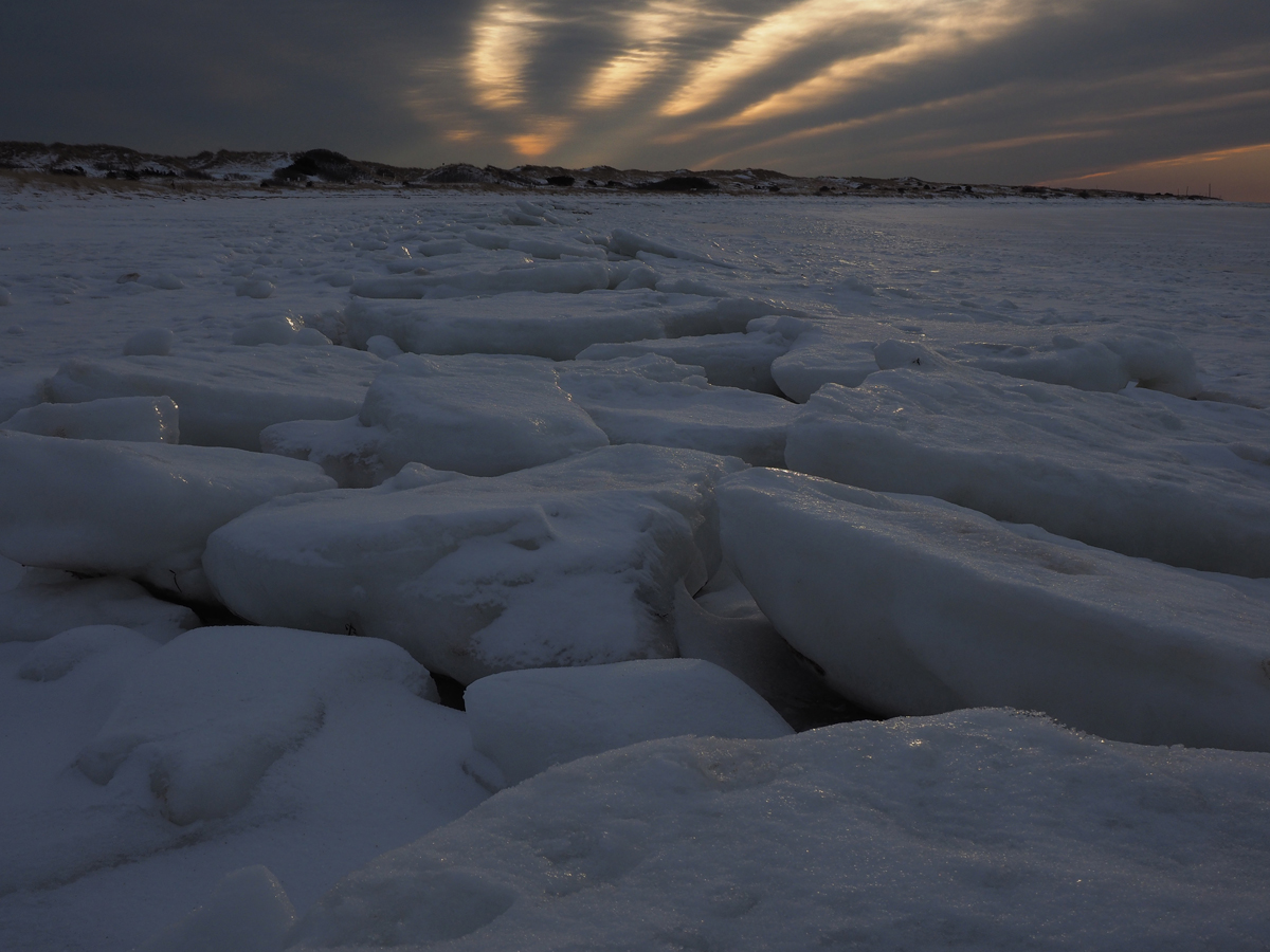 The Frozen North 