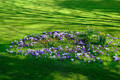 The Crocus Garden