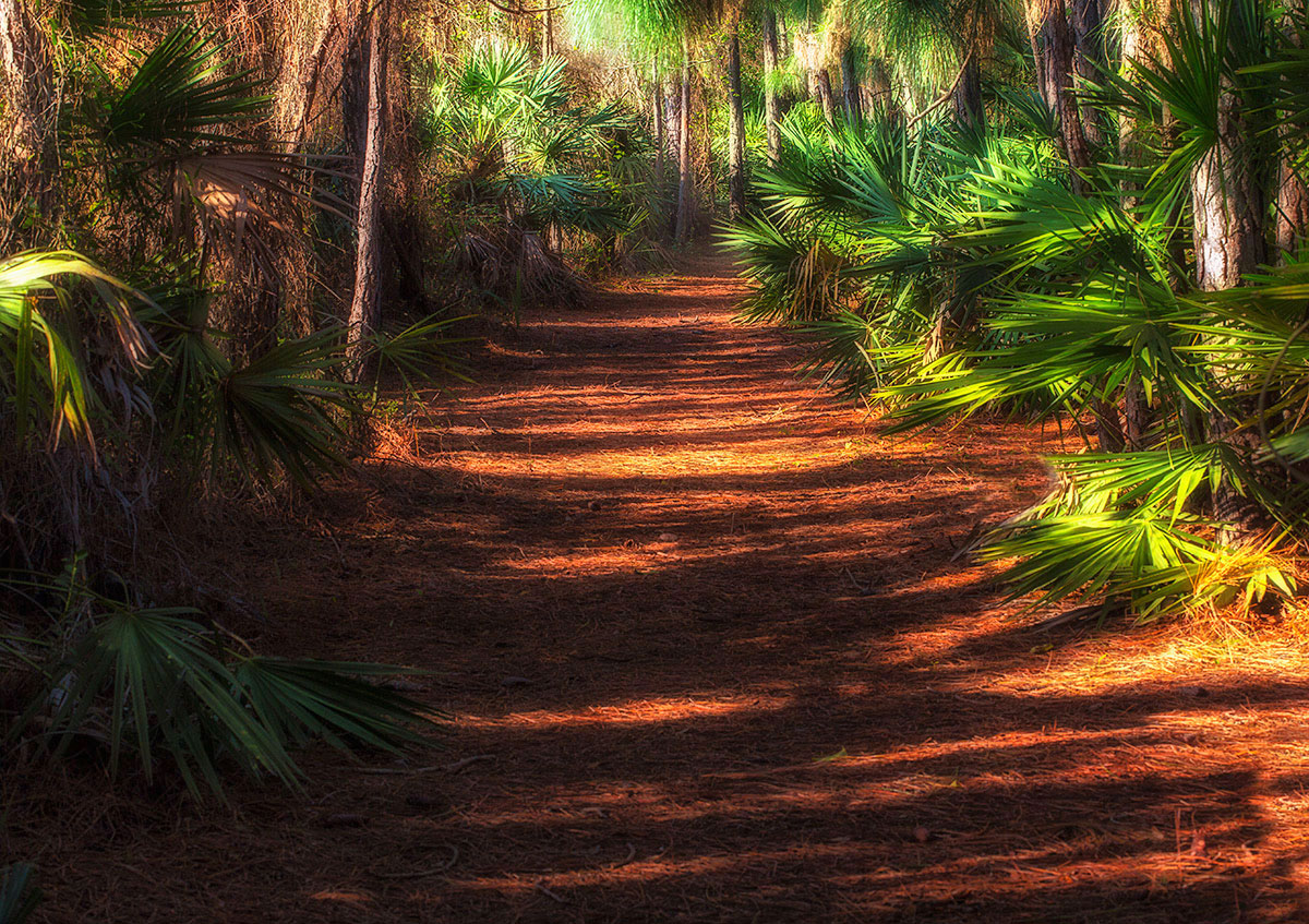 Follow the Path