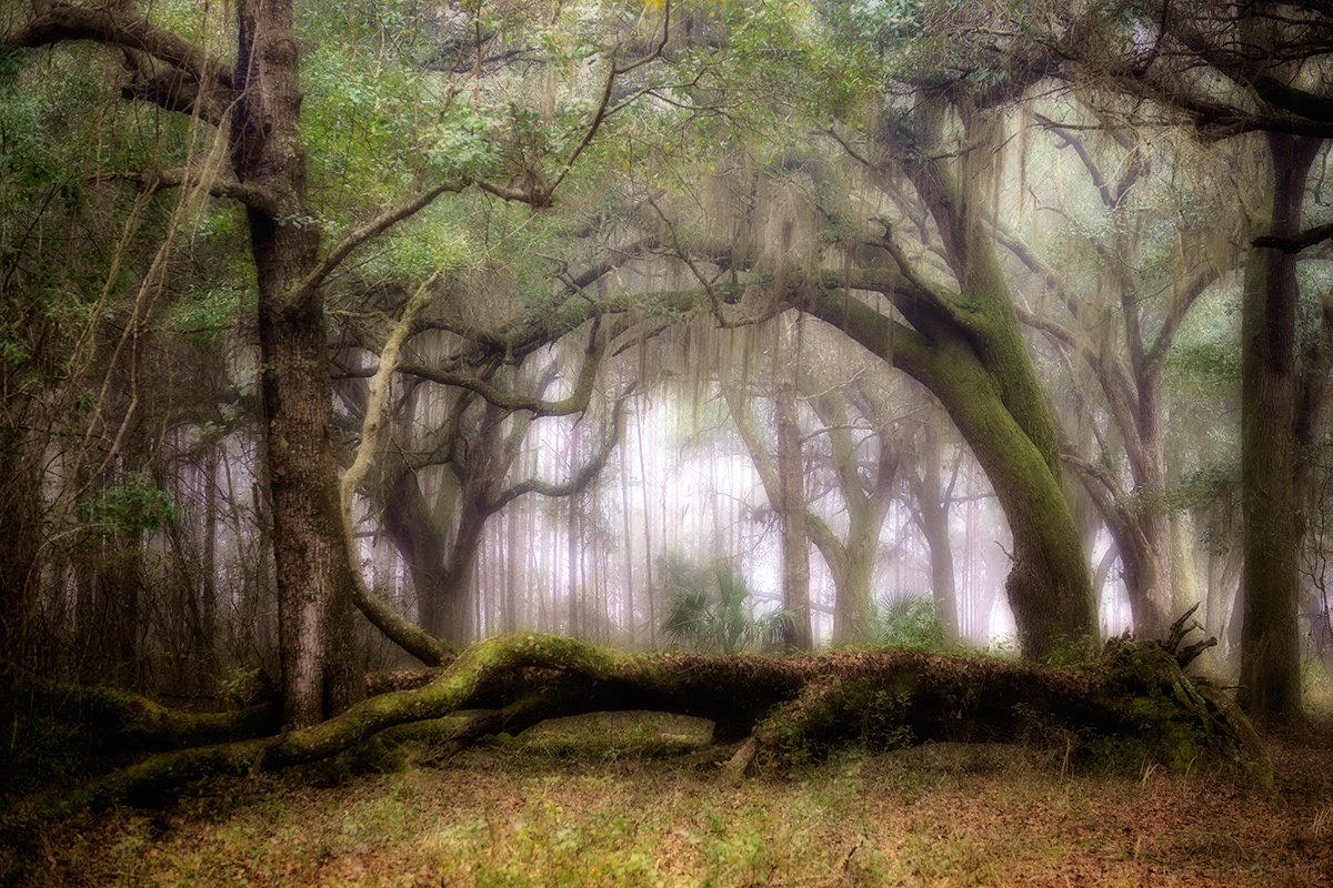 The earth has music for those who listen - Shakesphere